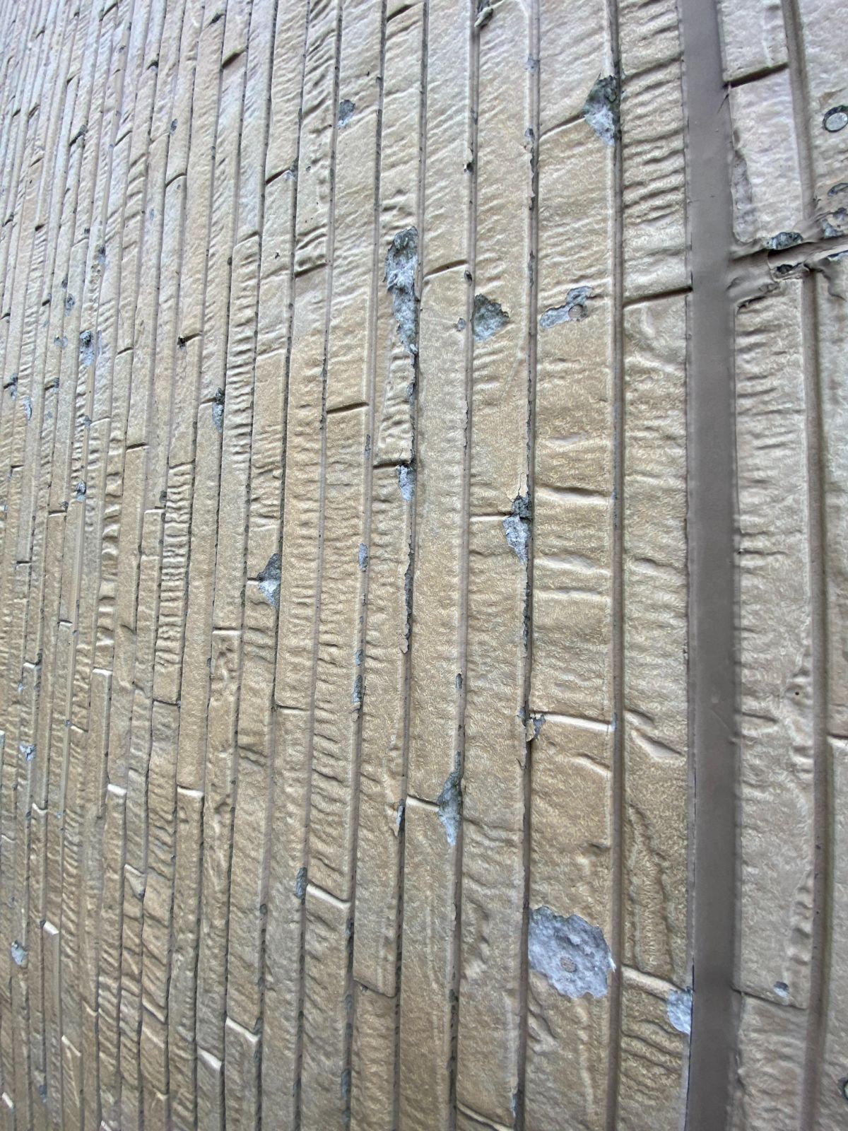 新潟市東区寺山 K様邸：母屋外壁の破損状況（接写）