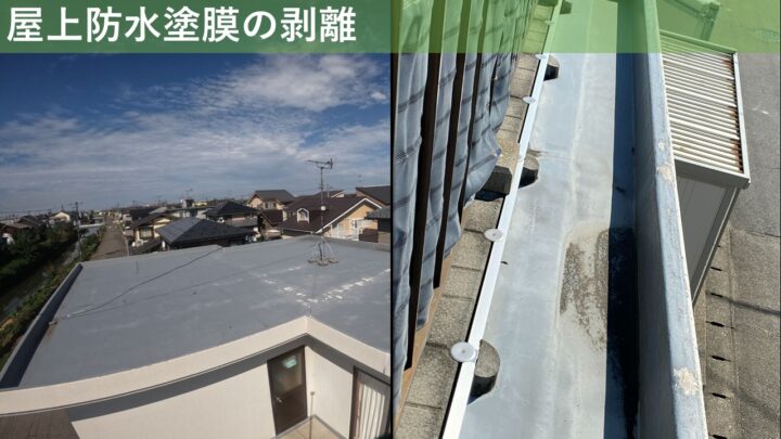 屋上防水塗膜の剥離