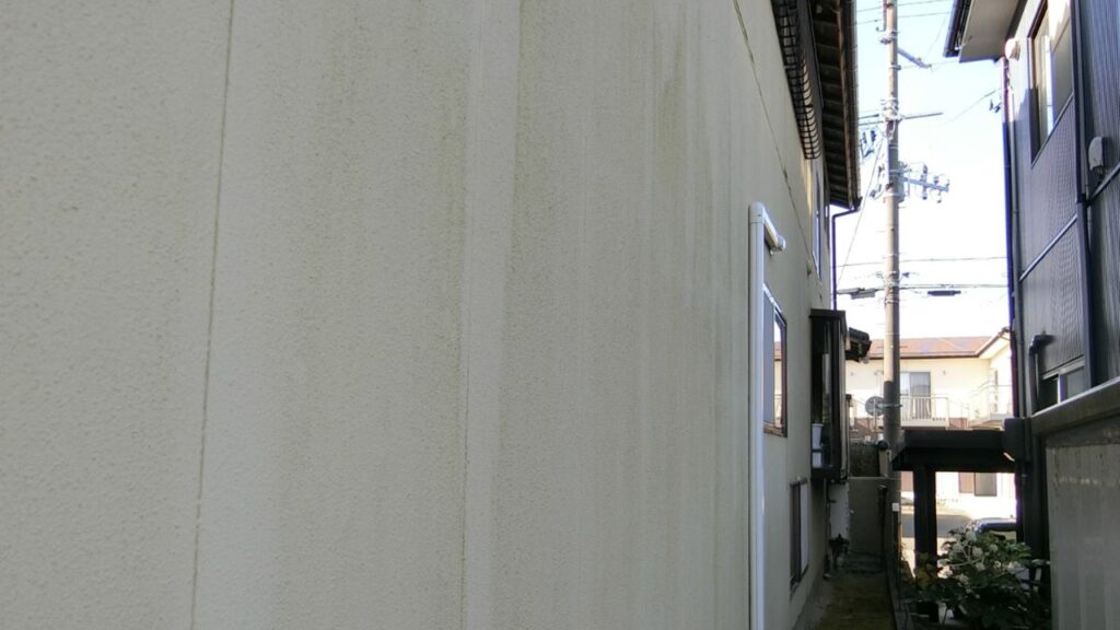新潟市東区で多い外壁の劣化症状③カビ・苔・藻の発生