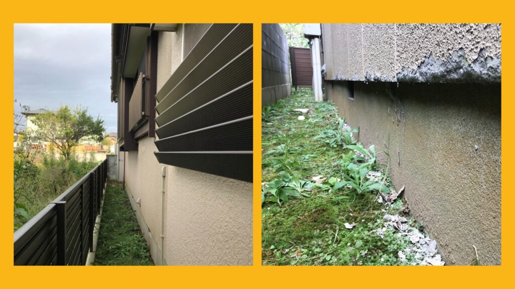 新潟市西蒲区の外壁劣化症状と原因①水分被害とカビ：西蒲区の気候がもたらす影響