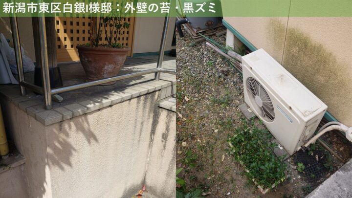 新潟市東区白銀I様邸：外壁の苔・黒ズミ