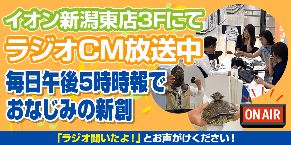 イオン新潟東店にてラジオCM放送中