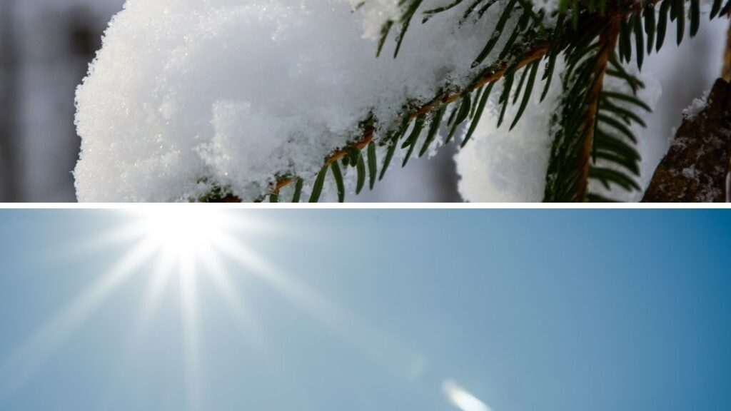 外壁コーキングの寿命は“本当に10年？”放置すると起きる劣化サインとは