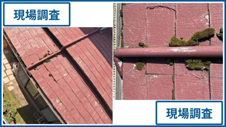 屋根・排水パイプ周辺のコケ