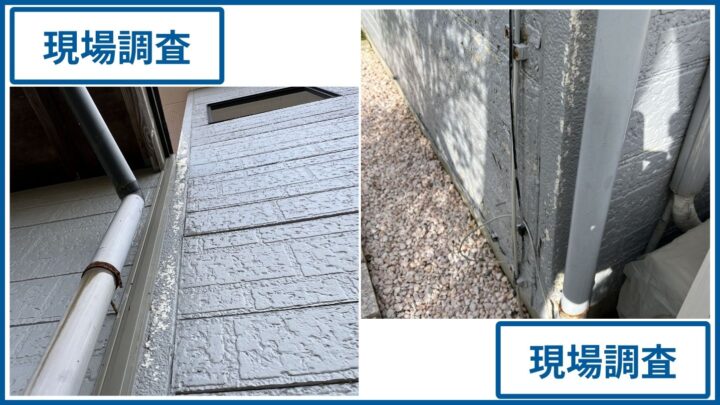 雨樋付近の外壁調査